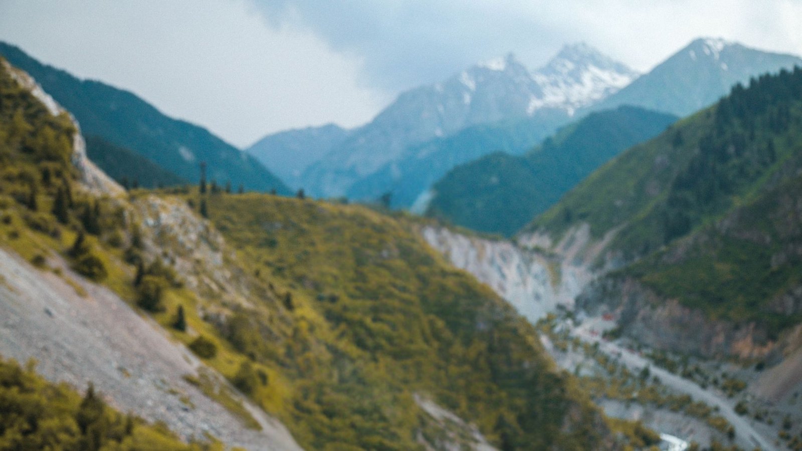 aljood specialty coffee